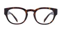 Havana Levis LV1048 Oval Glasses - Front