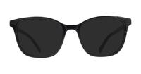 Black Levis LV1053 Square Glasses - Sun