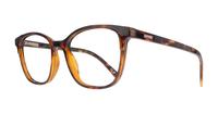 Havana Levis LV1053 Square Glasses - Angle