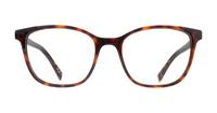 Havana Levis LV1053 Square Glasses - Front