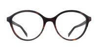 Havana Levis LV1054 Cat-eye Glasses - Front