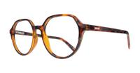 Havana Levis LV1055 Square Glasses - Angle