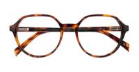 Havana Levis LV1055 Square Glasses - Flat-lay