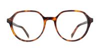 Havana Levis LV1055 Square Glasses - Front