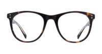 Dark Havana Levis LV5005 Oval Glasses - Front