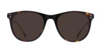 Dark Havana Levis LV5005 Oval Glasses - Sun