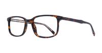 Havana Levis LV5019 Rectangle Glasses - Angle