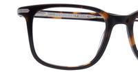 Havana Levis LV5034 Square Glasses - Detail