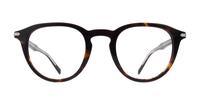 Havana Levis LV5040 Oval Glasses - Front