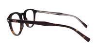 Havana Levis LV5040 Oval Glasses - Side