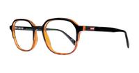Black/Havana Levis LV5043 Rectangle Glasses - Angle