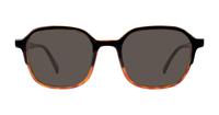 Black/Havana Levis LV5043 Rectangle Glasses - Sun