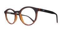 Brown Havana Levis LV5044 Oval Glasses - Angle