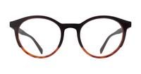 Brown Havana Levis LV5044 Oval Glasses - Front
