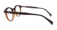 Brown Havana Levis LV5044 Oval Glasses - Side