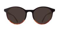 Brown Havana Levis LV5044 Oval Glasses - Sun