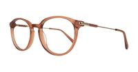 Transparent Light Brown London Retro Kitty Round Glasses - Angle