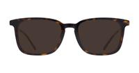 Shiny Dark Havana McQ MQ0218O Wayfarer Glasses - Sun