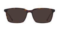Brown MINI 743001 Rectangle Glasses - Sun