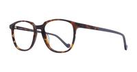 Brown MINI 743003 Round Glasses - Angle