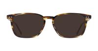 Brown MINI 743007 Square Glasses - Sun