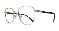 Gold Persol PO1007V Oval Glasses - Angle