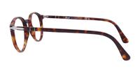 Havana Persol PO3218V-49 Round Glasses - Side