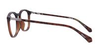 Havana Brown Polaroid PLD D431/F Oval Glasses - Side