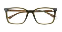 Olive Polaroid PLD D499 Rectangle Glasses - Flat-lay