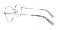 Gold Copper Polaroid PLD D521/G Cat-eye Glasses - Side