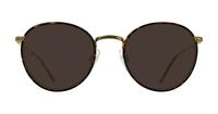 Aged Bronze Polo Ralph Lauren PH1153J Round Glasses - Sun