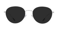Shiny Silver Polo Ralph Lauren PH1208 Oval Glasses - Sun