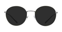 Shiny Gunmetal Polo Ralph Lauren PH1210 Round Glasses - Sun