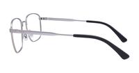 Shiny Brushed Silver Polo Ralph Lauren PH1214 Rectangle Glasses - Side