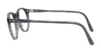 Shiny Striped Grey Polo Ralph Lauren PH2083-48 Round Glasses - Side