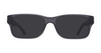 Shiny Transparent Grey Polo Ralph Lauren PH2117-54 Rectangle Glasses - Sun