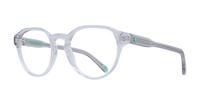 Light Grey Polo Ralph Lauren PH2233 Round Glasses - Angle
