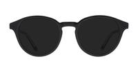 Shiny Black Crystal Polo Ralph Lauren PH2252 Round Glasses - Sun