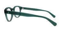 Shiny Transp Green Polo Ralph Lauren PH2262 Round Glasses - Side
