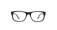 Havana Puma PE0020O-55 Square Glasses - Front