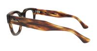 Striped Havana Ray-Ban RB0298V Square Glasses - Side