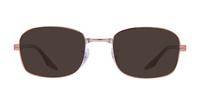 Copper Ray-Ban RB3690V Oval Glasses - Sun