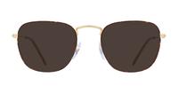 Gold Havana Ray-Ban RB3857V Square Glasses - Sun