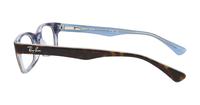 Havana / Transparent Azure Ray-Ban RB5150 Rectangle Glasses - Side