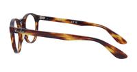Striped Havana Ray-Ban RB5283-49 Round Glasses - Side