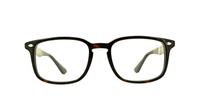 Havana Ray-Ban RB5353-52 Round Glasses - Front