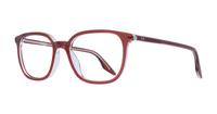 Brown/Transp Ray-Ban RB5406 Square Glasses - Angle