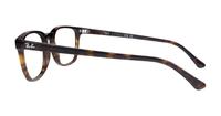 Havana Ray-Ban RB5418 Oval Glasses - Side