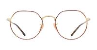 Havana/Gold Ray-Ban RB6465 Round Glasses - Front