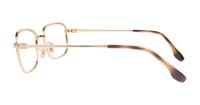 Havana On Arista Ray-Ban RB6495 Oval Glasses - Side
